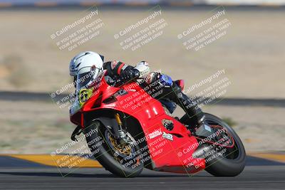 media/Feb-04-2023-SoCal Trackdays (Sat) [[8a776bf2c3]]/Turn 4 (Tree of Life 2pm)/